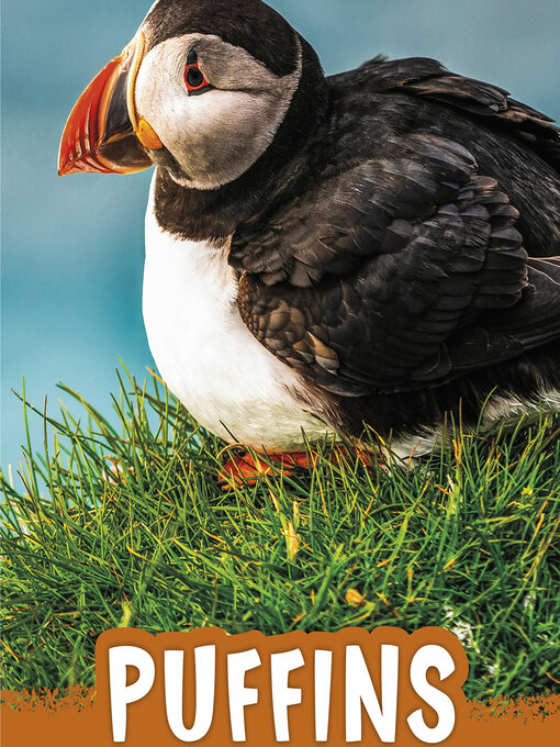 Title details for Puffins by Jaclyn Jaycox - Available